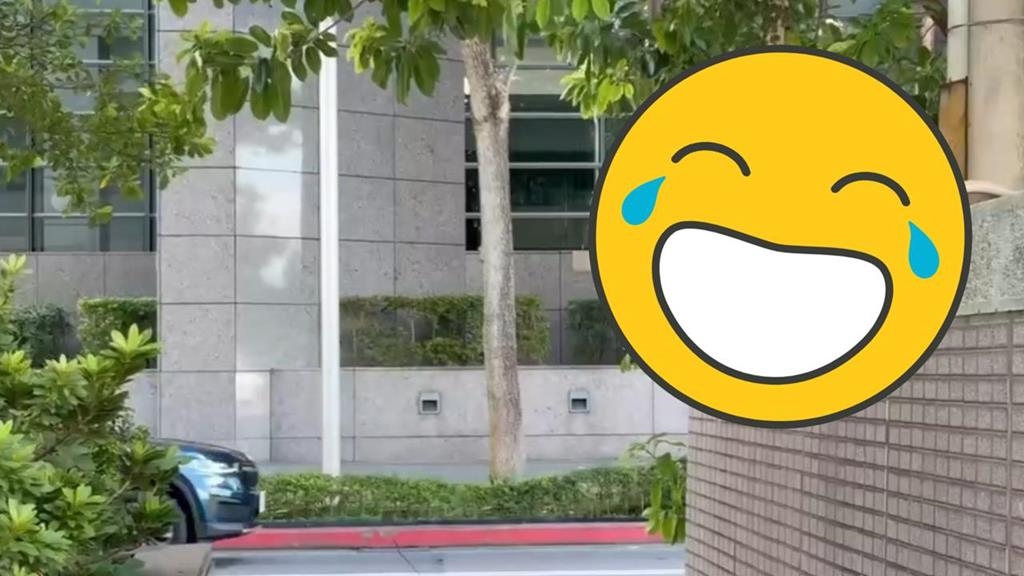 台北內湖「巨肥猴王」坐路邊猛放空！「衝公司上班」反差笑瘋網：那我同事