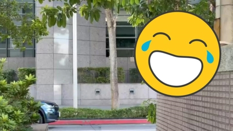 台北內湖「巨肥猴王」坐路邊猛放空!「衝公司上班」反差笑瘋網:那我同事