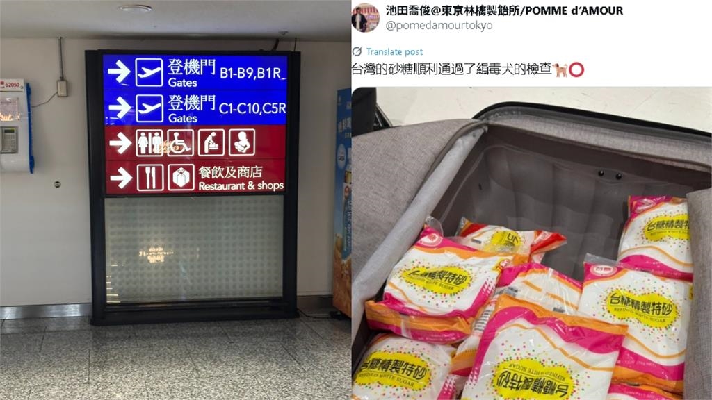 狂掃「台製白粉」驚動緝毒犬！日本老闆又來台「1招神溝通」台人笑翻：誰教的