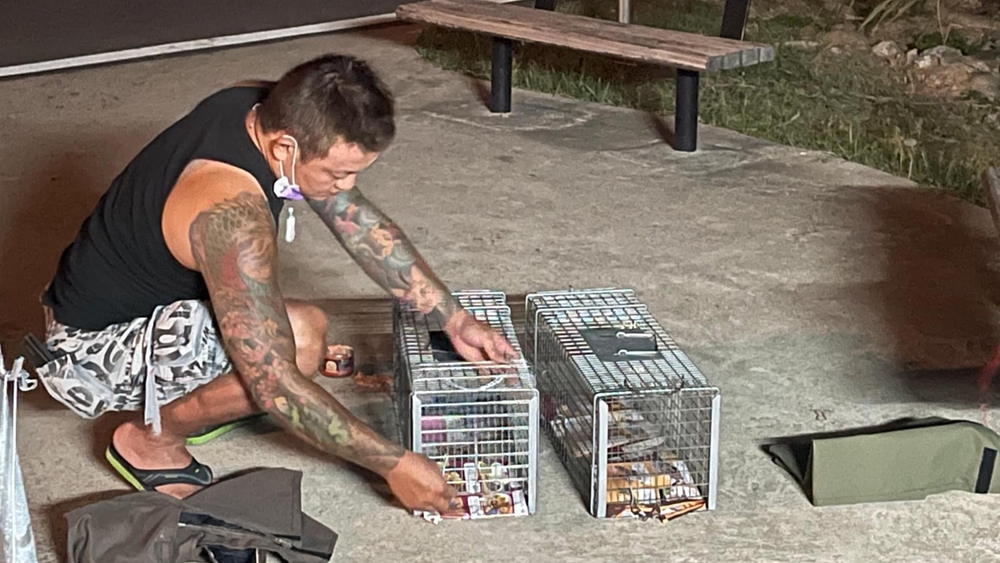 照顧浪浪不只是責任，更是一份溫暖