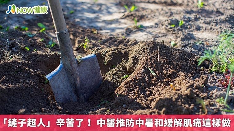 「鏟子超人」辛苦了！ 中醫推防中暑和緩解肌痛這樣做