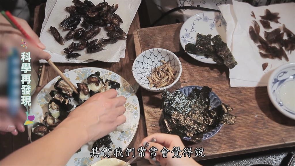 運用上百種　蟲蟲大餐解糧食危機？