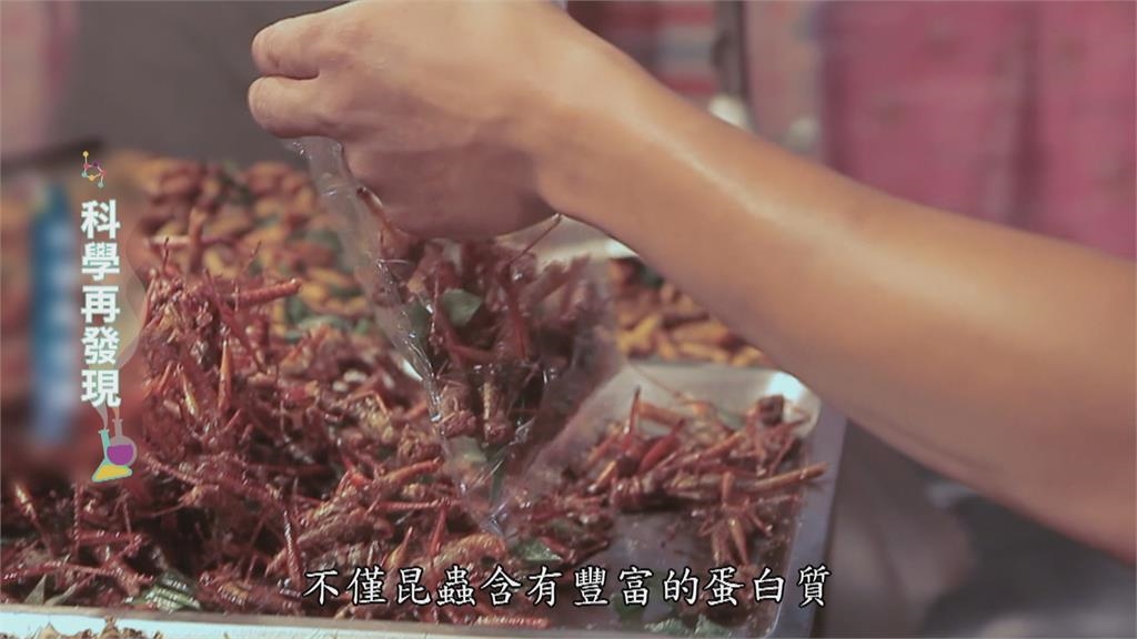 運用上百種　蟲蟲大餐解糧食危機？