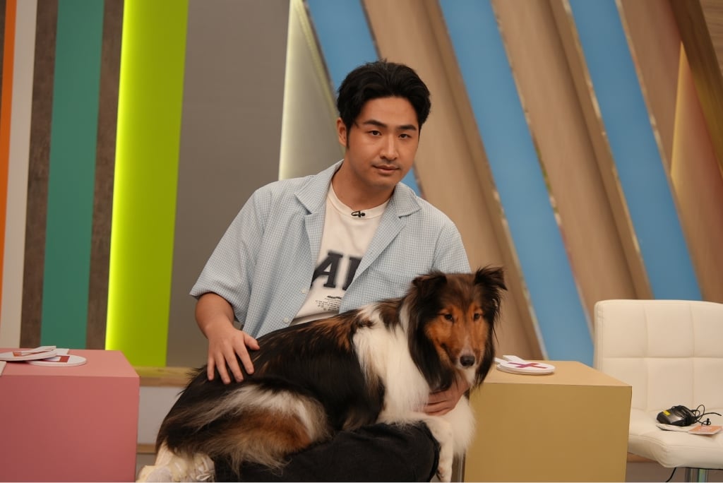 醫學(影)/鹿希派的貓咪呈「大叔坐姿」 這不是裝可愛是身體出問題了?
