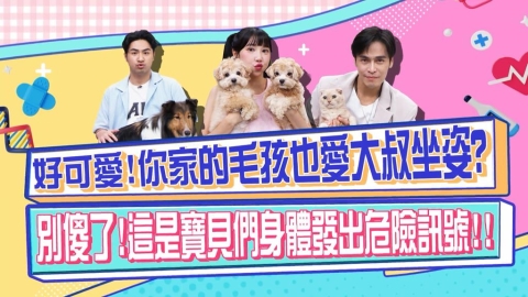 醫學(影)/鹿希派的貓咪呈「大叔坐姿」 這不是裝可愛是身體出問題?