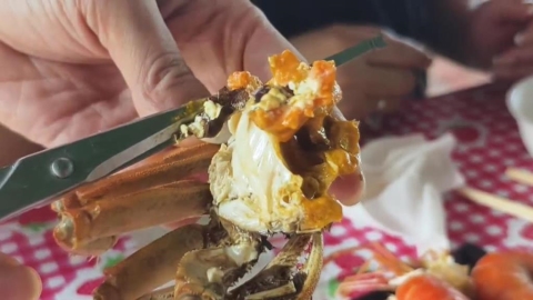 天氣熱"慢熟"! 秋季限定大閘蟹 四兩母蟹含蟹膏供嚐