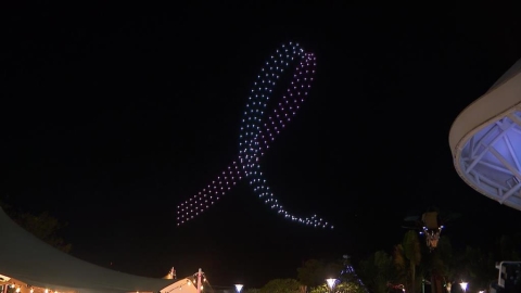 粉紅絲帶乳癌防治公益點燈！點亮台北「粉紅之光」