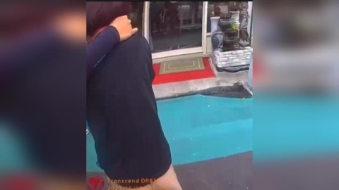 苗栗品大閘蟹正當時 產地搭客家菜直上餐桌