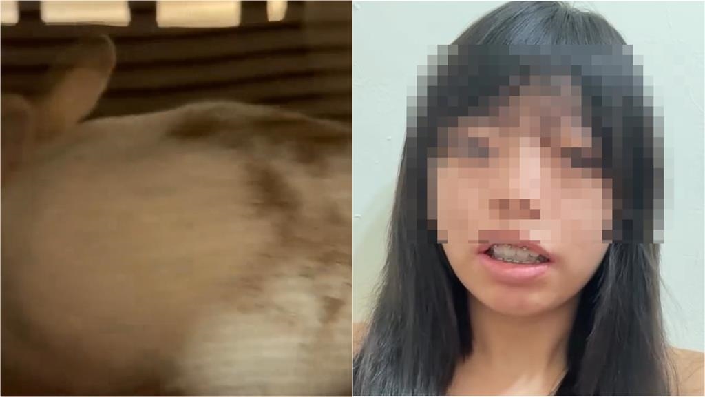 親媽身體凹折病逝「爆挪用救命錢」!網紅婉晴公開死因「點名這人」竟怒嗆:很過分