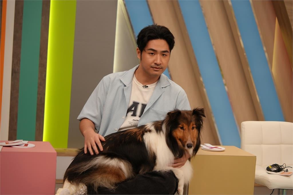 《醫學大聯盟》鹿希派超狂養12隻狗！與貓同住「互不理會」