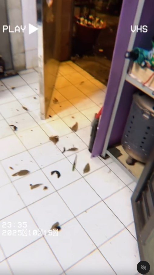 快新聞／暴雨狂襲！深夜新北多處淹水　慘況畫面曝光了