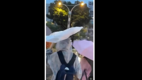 雨勢不斷雨傘開花!北北基桃正常上班上課 蔣萬安臉書被灌爆