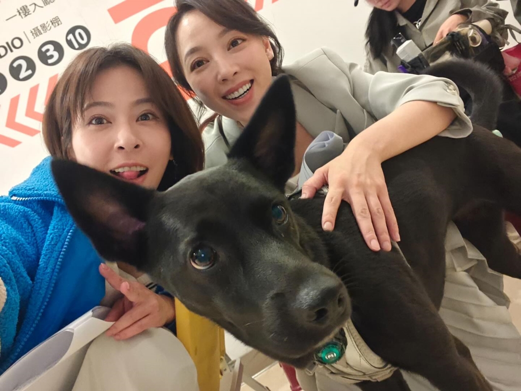 《好運來》勇兔突指控「某位」心機重!狂擋鏡頭還裝無辜