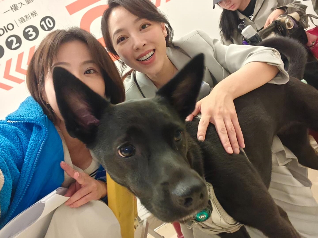 《好運來》勇兔突指控「某位」心機重!狂擋鏡頭還裝無辜