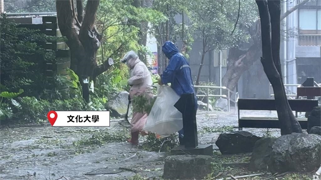 文化大學颳12級強陣風 校園路樹連根拔起滿目瘡痍