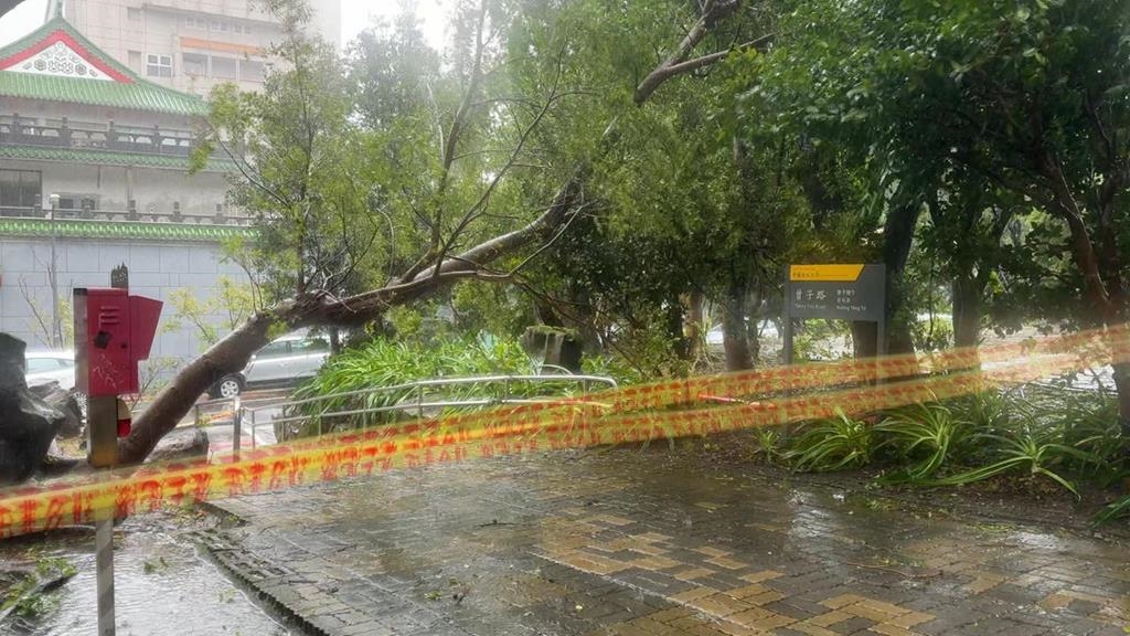 共伴效應發威　北市已167件災情！急撤離31戶79人