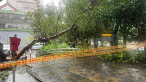 共伴效應山區掀狂風暴雨! 文大學生:差一點連滾帶爬