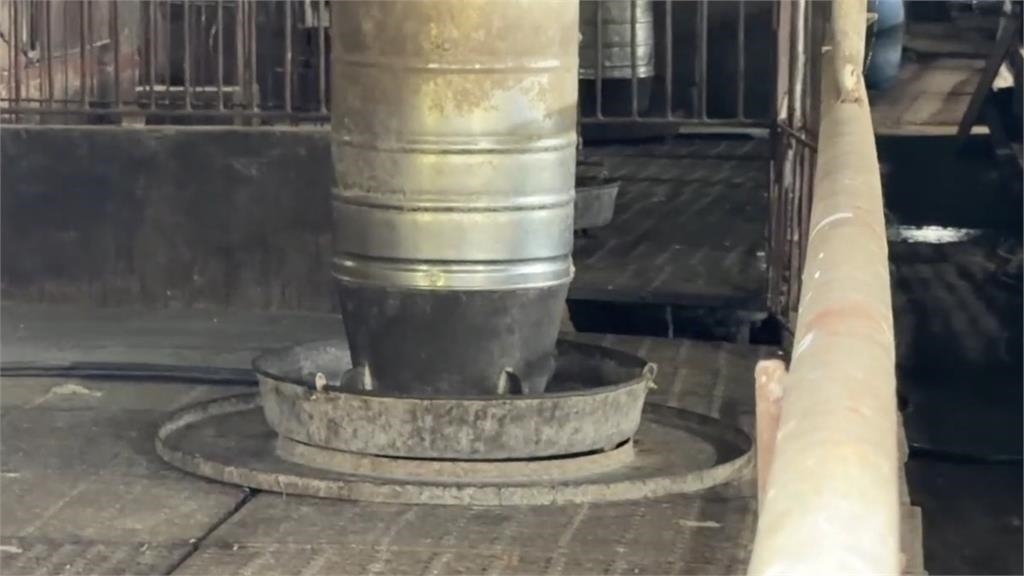 快新聞／最高警戒！台中梧棲養豬場確診非洲豬瘟　現場畫面曝光了