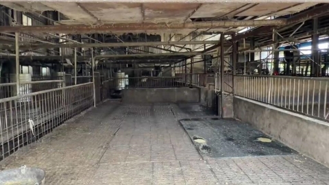 最高警戒！台中梧棲養豬場確診非洲豬瘟　現場最新畫面曝光