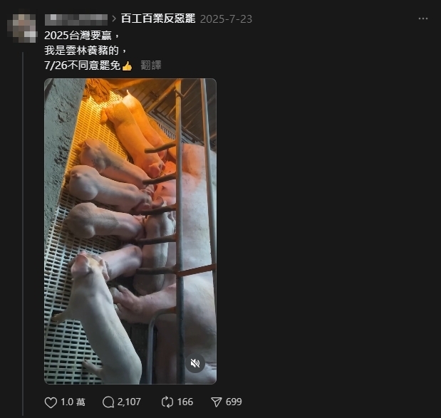 非洲豬瘟睽違7年襲台！雲林豬農昔PO文「挺反罷免」今遭酸：大罷免大失敗大豬瘟