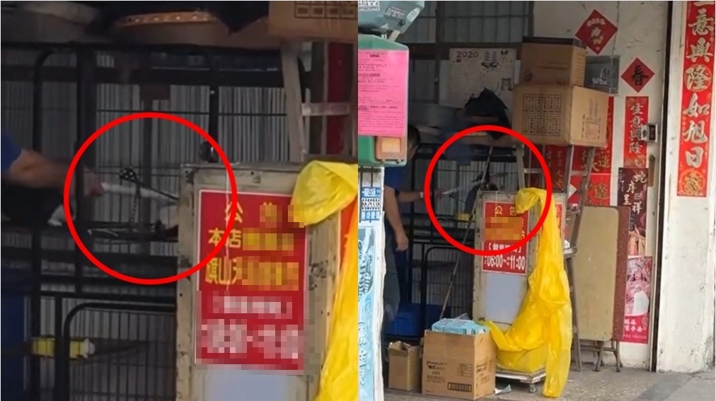 長棍狂戳猛敲「籠中小貓嘶吼逃竄」！碗粿店老闆涉虐貓畫面曝⋯網氣炸「蛋洗」門口