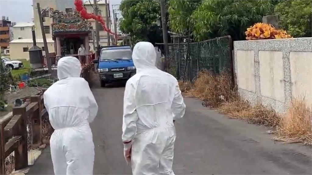 台中爆發首例非洲豬瘟！養豬協會理事長推測「1食品」釀禍：死亡率達100%