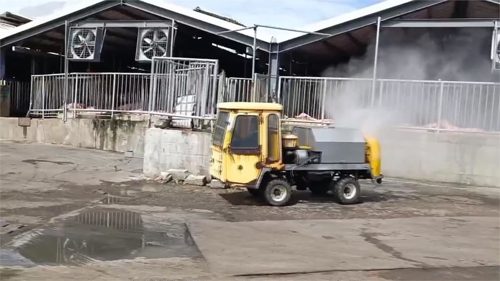 聞疫色變！雲林為「養豬最大縣」　　張麗善強調：6年前禁餵廚餘