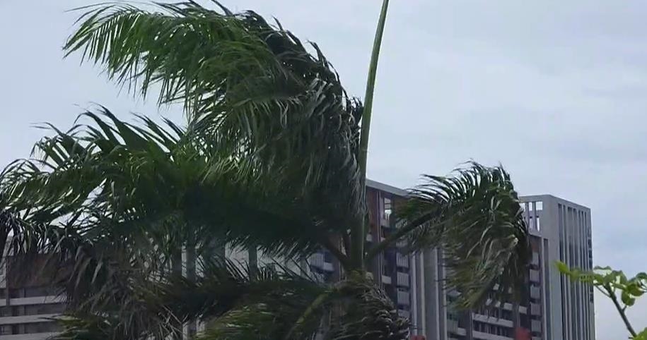 強風連颳3日！高鐵台中站玻璃門疑被吹破禁通行