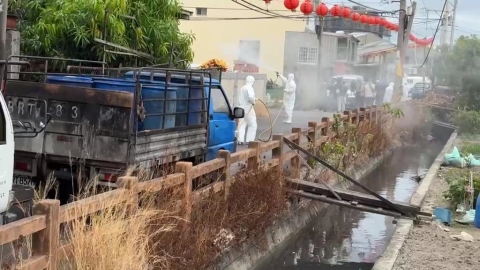 台中梧棲疑爆非洲豬瘟 撲殺195頭豬 養豬場全面清消