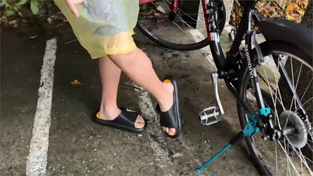 快新聞/雨橫風狂!汐止邊坡土石流路樹倒塌 碧砂漁港遊艇、汽車遭吹翻