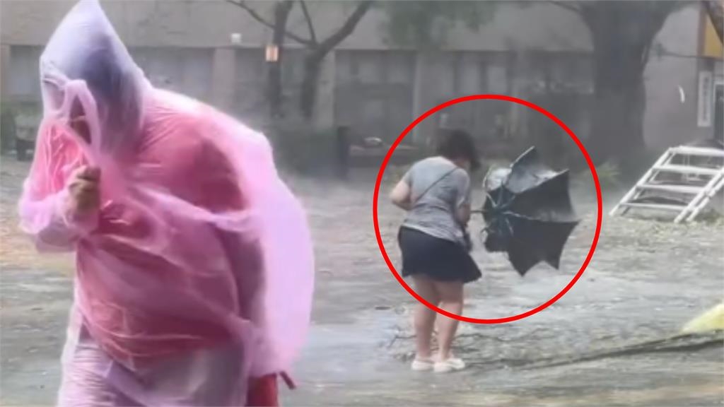她秒變「彎腰落湯雞」冒雨掙扎　文大仇人坡驚見「雨傘菊花」滿地開！