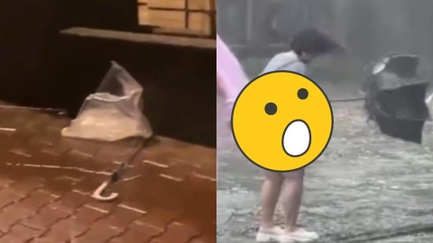女大生秒變「彎腰落湯雞」冒雨掙扎　文大仇人坡見「雨傘菊花」滿地開！