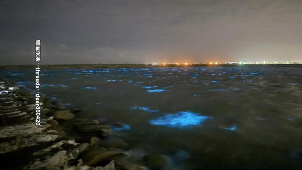 罕見美景!台南扇形鹽田前出現「藍眼淚」 吸引民眾朝聖讚嘆