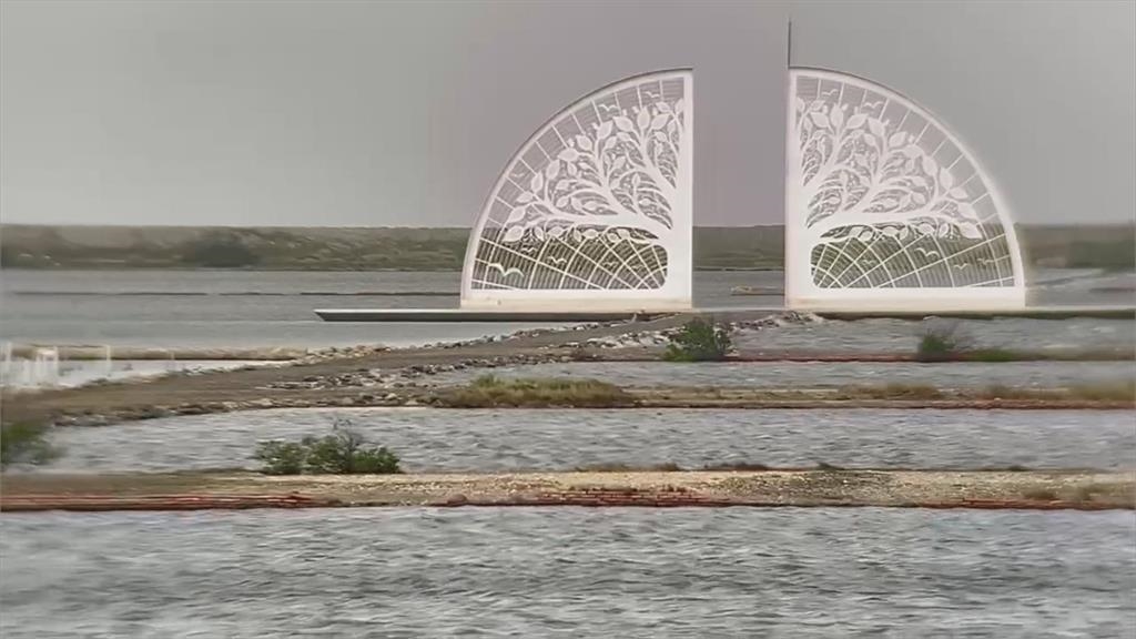 罕見美景!台南扇形鹽田前出現「藍眼淚」 吸引民眾朝聖讚嘆