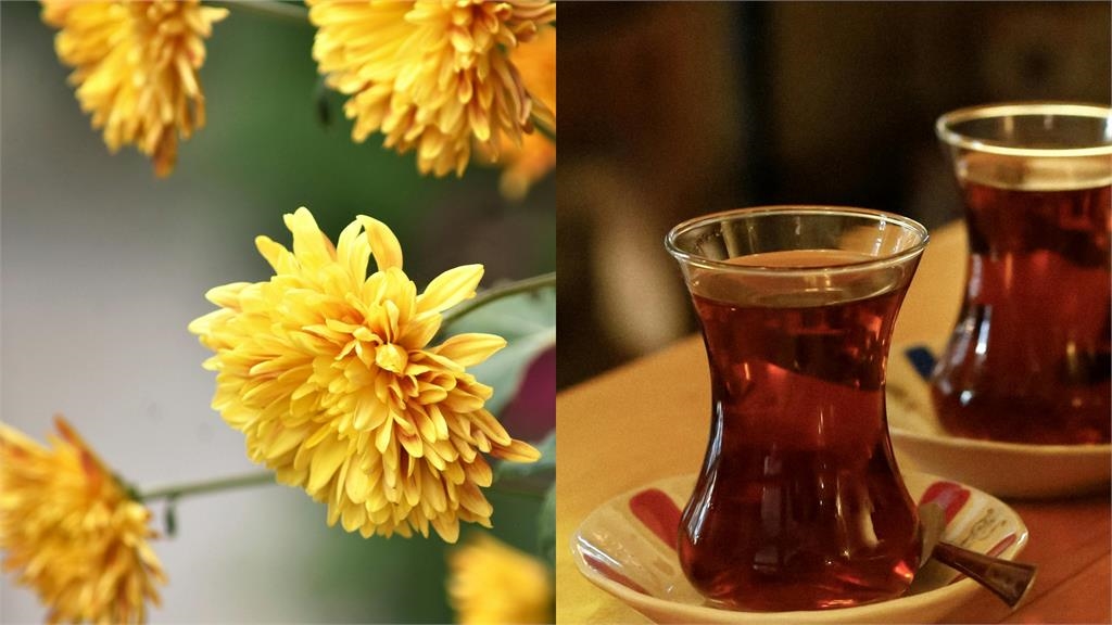 九九重陽節「大凶」快來了！專家點名6地雷禁踩：忌說「這1句」