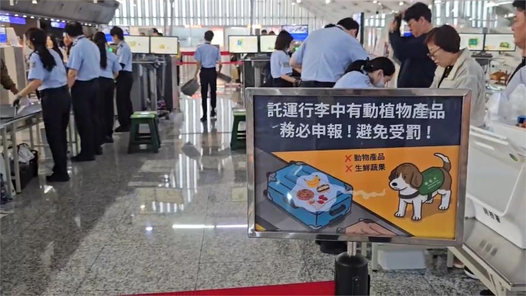 台中爆發非洲豬瘟疫情 全台校園落實防疫「停用豬肉」