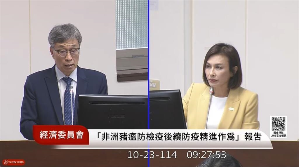 快新聞/「砍到有感」成真?非洲豬瘟破防 邱議瑩氣炸譙爆黃國昌