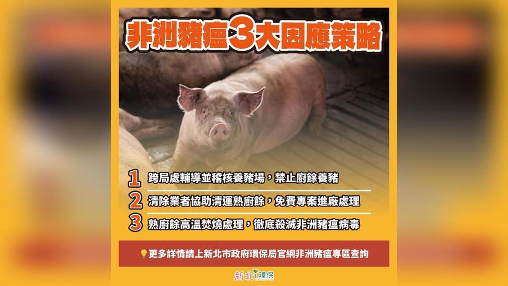 新北市因應非洲豬瘟　禁廚餘養豬、熟廚餘「焚化處理」