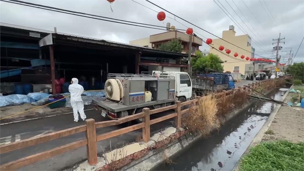 7年豬防線恐失守 綠營批盧秀燕「台中版徐榛蔚」