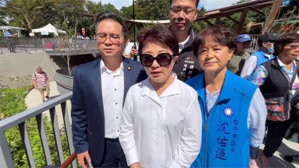 7年豬防線恐失守 綠營批盧秀燕「台中版徐榛蔚」