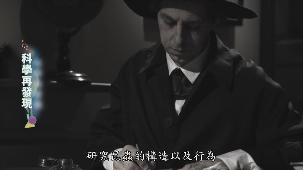 昆蟲界的荷馬史詩! 法布爾「昆蟲記」奠定自然科學史地位