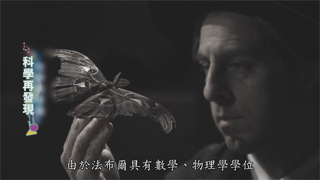 昆蟲界的荷馬史詩! 法布爾「昆蟲記」奠定自然科學史地位