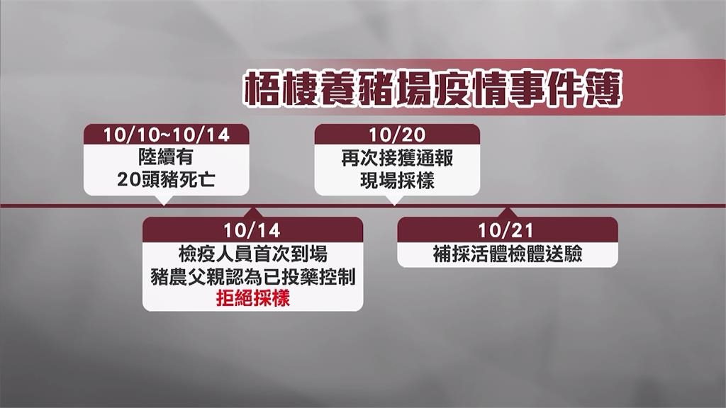 爆非洲豬瘟? 台中豬農兒:非不良豬農.沒想害台灣產業