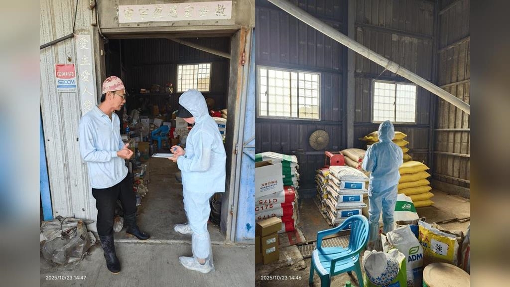 新！高雄開第一槍　市府宣布全面禁止廚餘養豬