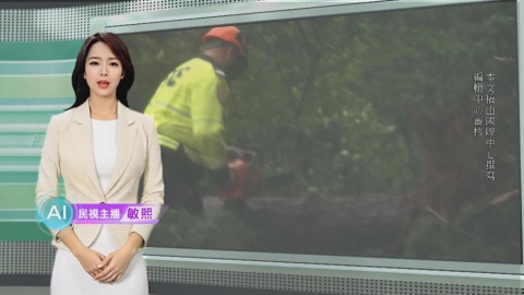 敏熙報氣象／強烈風暴襲擊紐西蘭　罕見發布狂風紅色警報