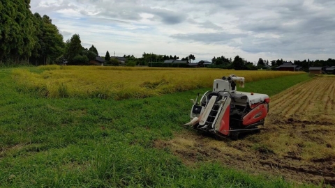 米價暴漲近五成！日新首相高市早苗將發表施政方針　擬優先打壓通膨