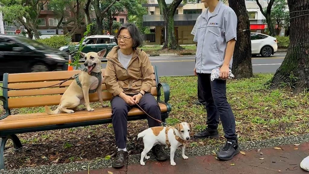 蔡英文驚喜現身同志大遊行　愛犬鳳梨妹、樂樂萌翻全場