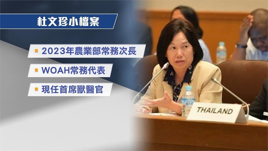 20年多年來致力防豬病！　台灣首席獸醫官杜文珍經驗豐富