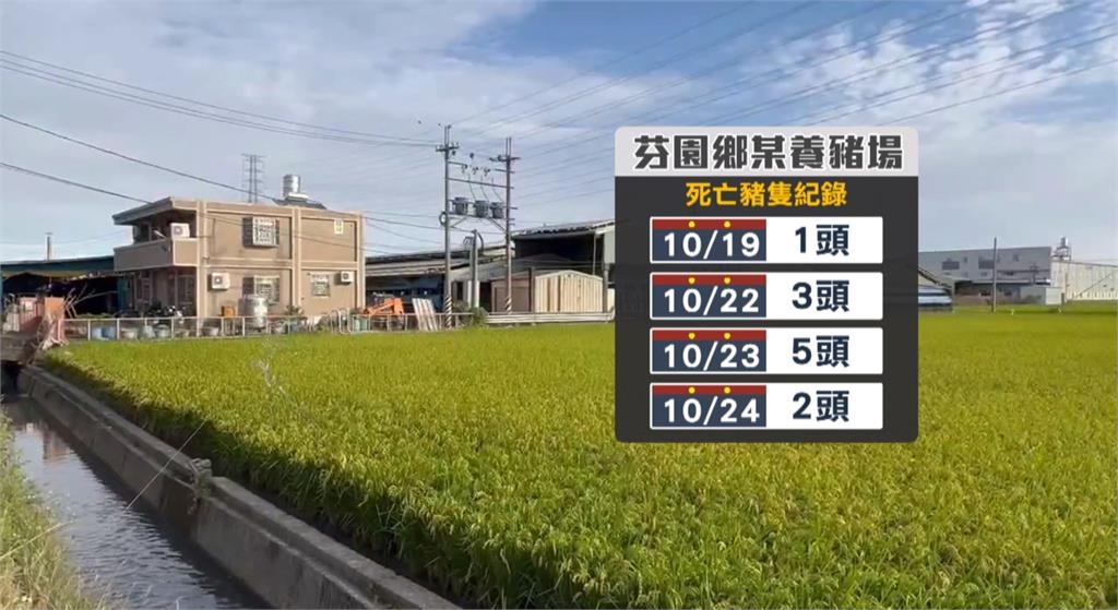 鬆口氣！　彰化芬園養豬場4死豬送驗初步排除染非洲豬瘟