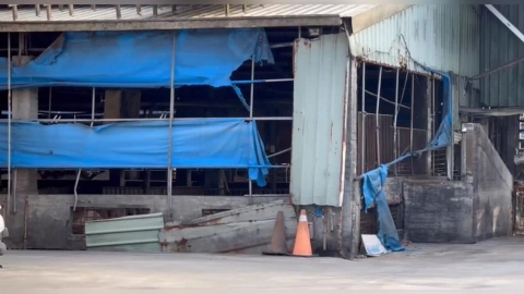 鬆口氣! 彰化芬園養豬場4死豬送驗初步排除染非洲豬瘟